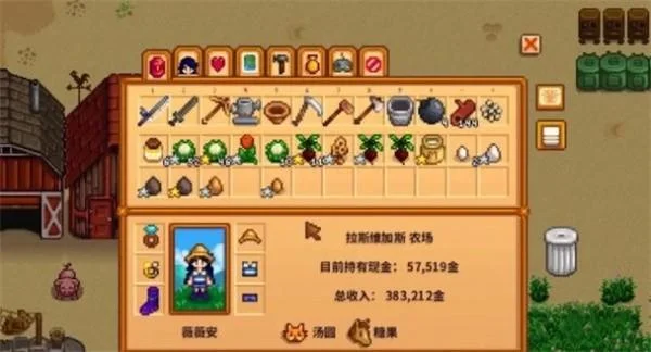 星露谷物语物品栏怎么扩充？