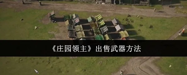 庄园领主怎么出售武器，附方法