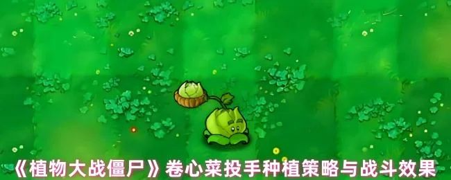 植物大战僵尸卷心菜投手种植策略与战斗效果 植物大战僵尸卷心菜投手种植策略与战斗效果