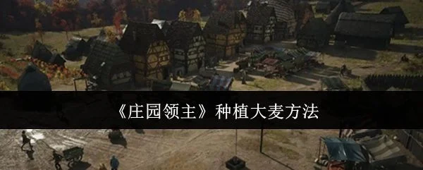 庄园领主怎么种植大麦,附方法 庄园领主怎么种植大麦,附方法