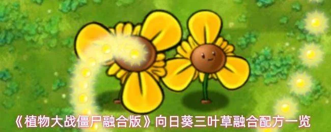 植物大战僵尸融合版向日葵三叶草融合配方攻略 植物大战僵尸融合版向日葵三叶草融合配方攻略