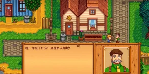 星露谷物语山姆滑板剧情选项推荐