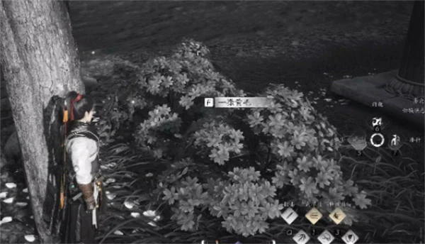 燕云十六声失窃的头坛酒任务怎么做？