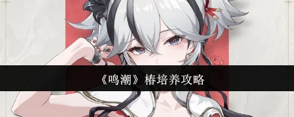 鸣潮椿怎么培养 鸣潮椿怎么培养