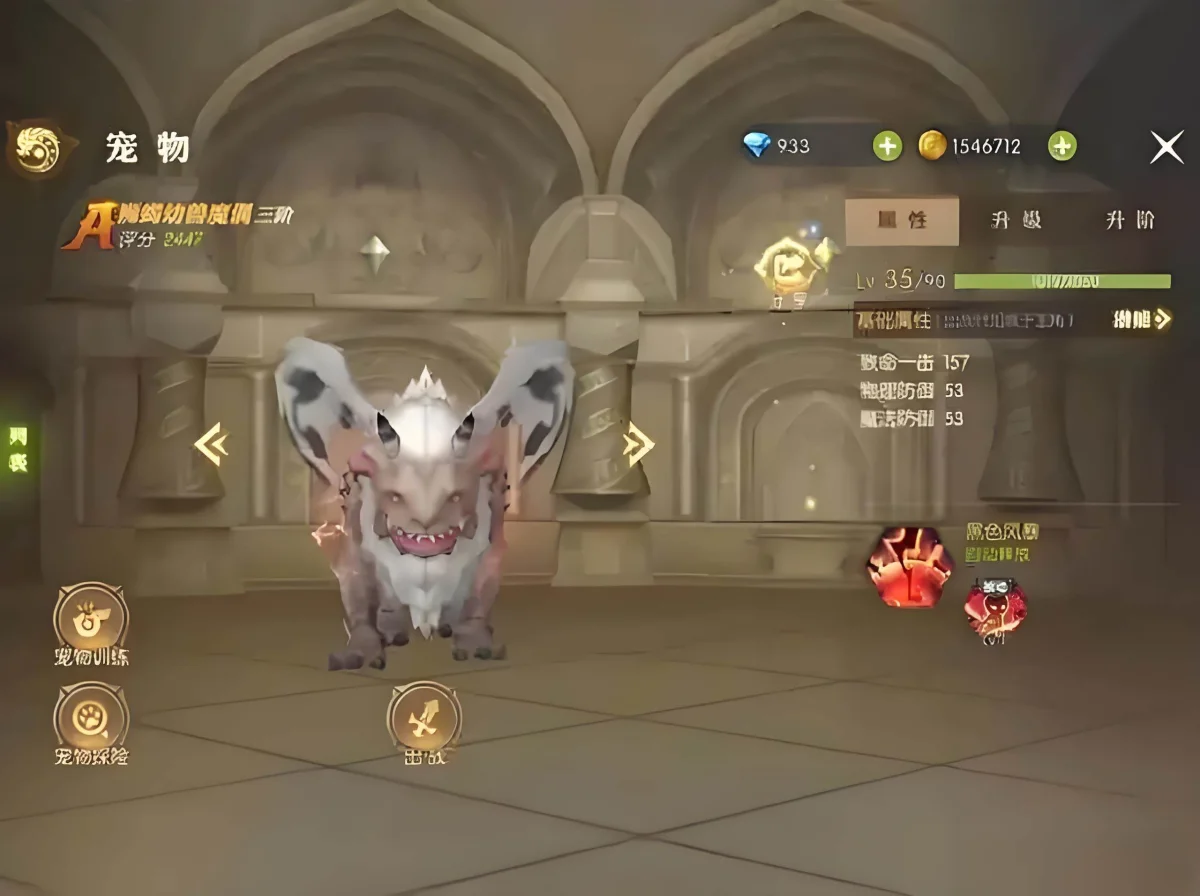 龙之谷世界宠物技能有哪些?