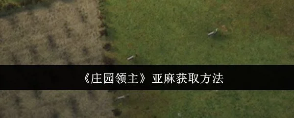 庄园领主亚麻怎么获取,附方法 庄园领主亚麻怎么获取,附方法