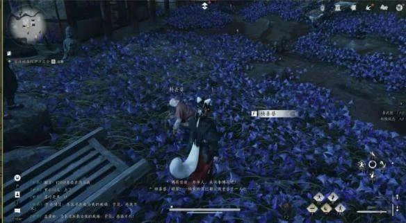 燕云十六声业火不熄任务怎么完成？