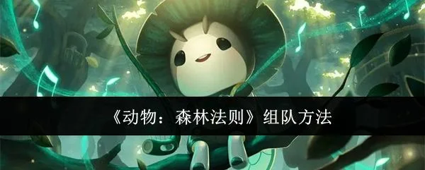 动物森林法则怎么组队，附方法