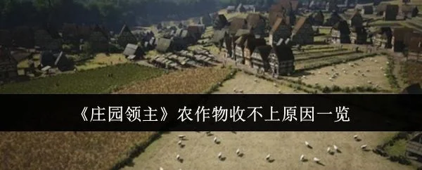庄园领主农作物收不上是什么原因? 庄园领主农作物收不上是什么原因?