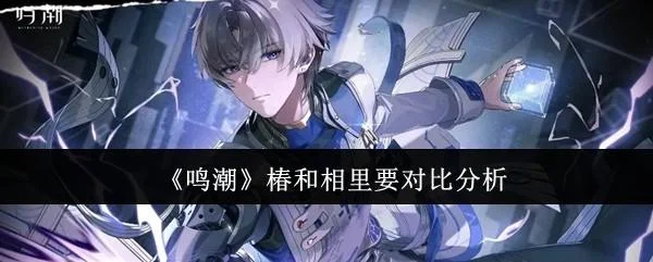 鸣潮椿和相里要哪个好？